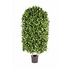 Laural Square - kunstplant