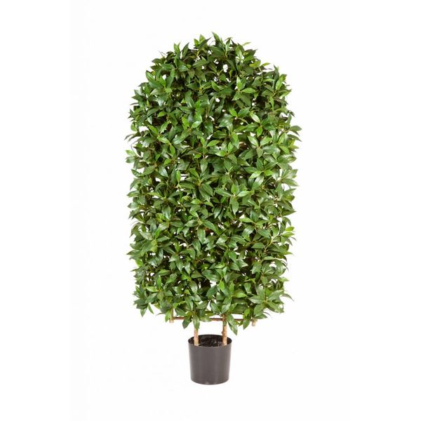 Laural Square - kunstplant