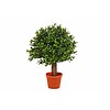 Boxwood Ball - kunstplant