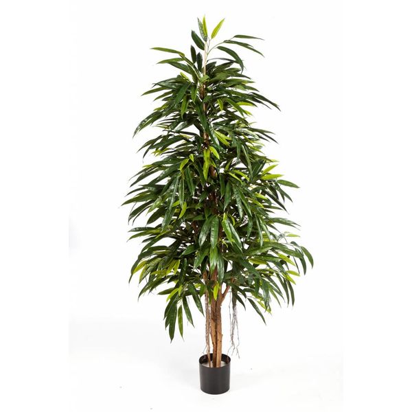 Longifolia Royal Natural - kunstplant
