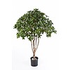 Euonymus Japonicus - kunstplant