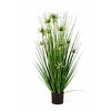 Onion Star Grass - kunstplant
