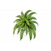 Nephrolepis Boston - kunstplant