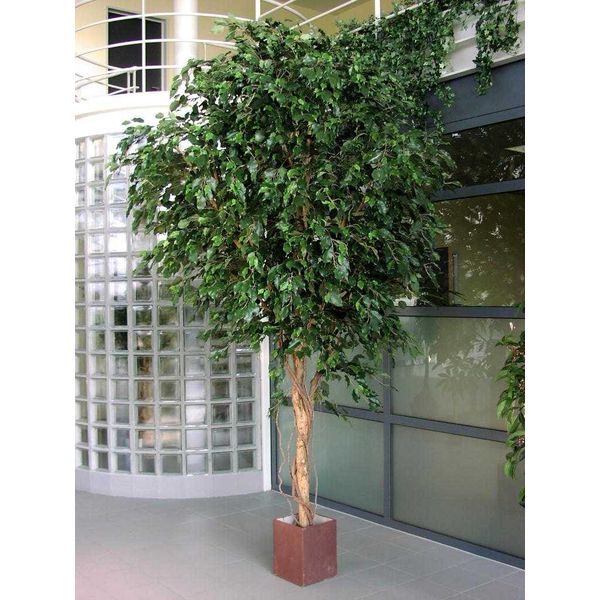 Giant Ficus Exotica - kunstplant