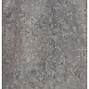 Casalgrande Padana vloertegel MARTE  Grigio Marostica 60x60 cm - Naturale