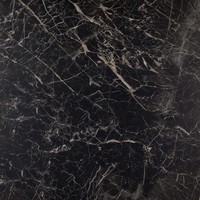 vloertegel ALLMARBLE Saint Laurent 60x60 cm