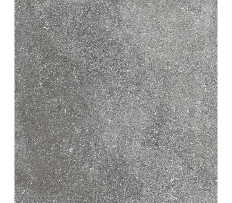 vloertegel KINGSTONE Silver 80x80 cm