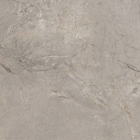 vloertegel ELEMENTS LUX Silver Grey 60x60 cm Naturale