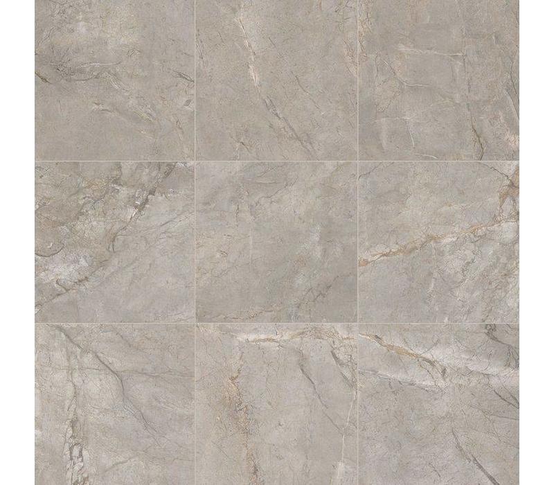 vloertegel ELEMENTS LUX Silver Grey 60x60 cm Naturale