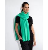 Cosy 100% Cashmere Deep Mint