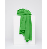 Cosy Chic Bright Green