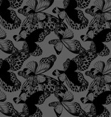 Sjaal 100% Cashmere Butterfly Neutral Grey - Solid Black