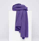 Cosy Chic Deep Purple