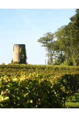CHATEAU VIEUX MOULIN Puisseguin St. Emilion 2020