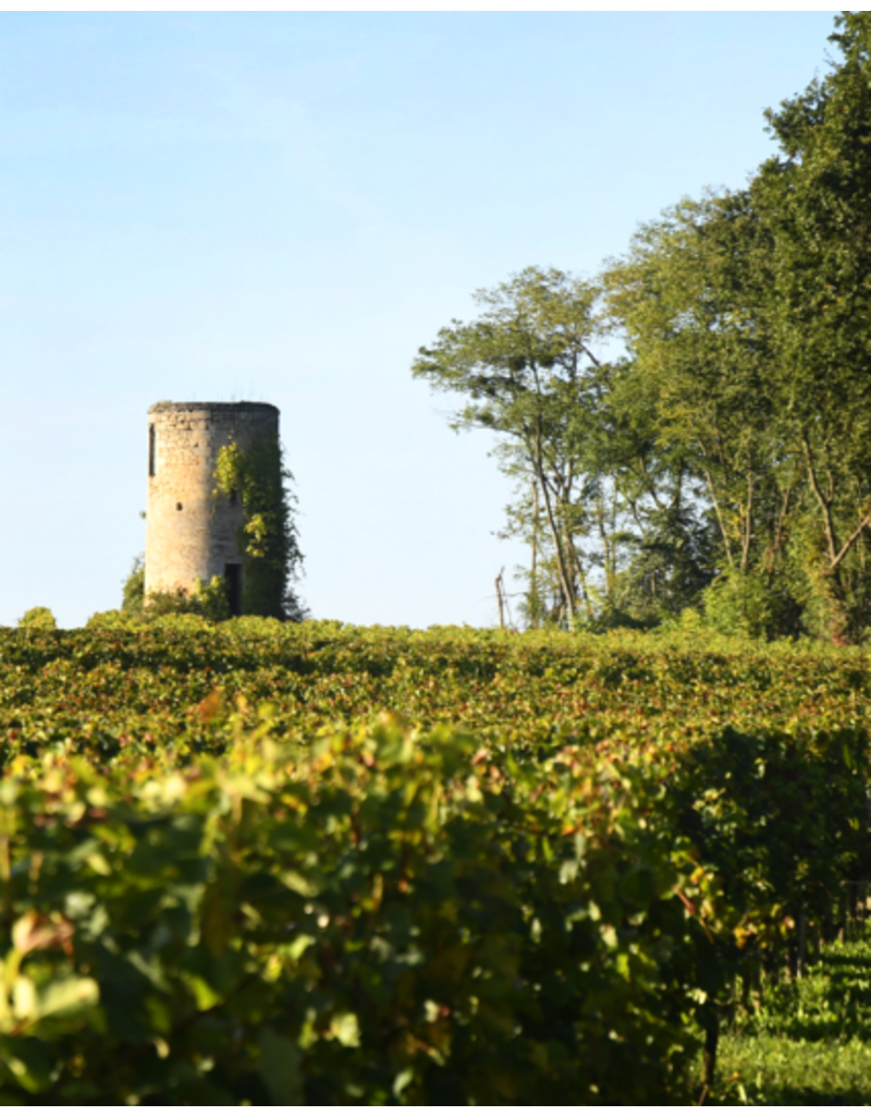 CHATEAU VIEUX MOULIN Puisseguin St. Emilion 2020