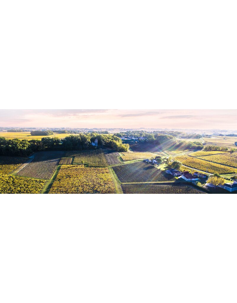 CHATEAU VIEUX MOULIN Puisseguin St. Emilion 2020
