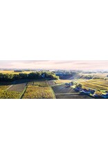 CHATEAU VIEUX MOULIN - Puisseguin Saint-Emilion 2022