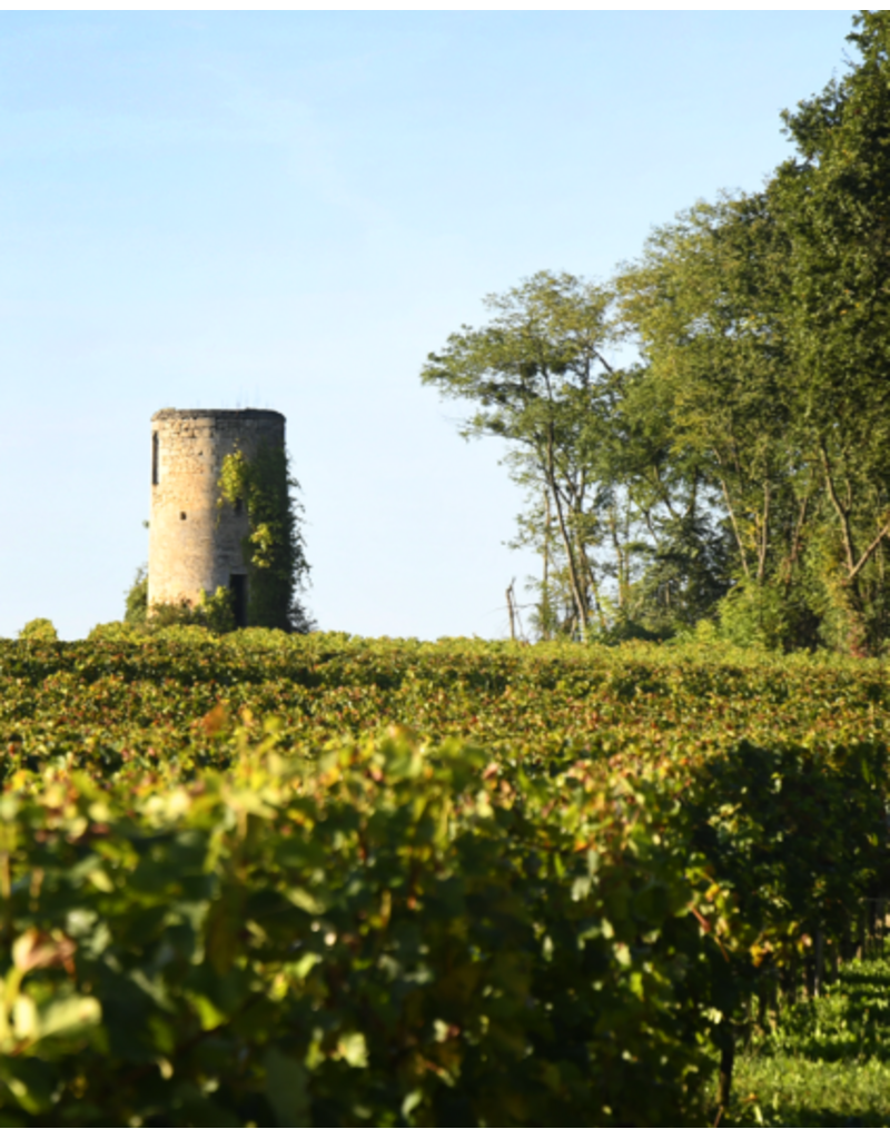 CHATEAU VIEUX MOULIN - Puisseguin Saint-Emilion 2022