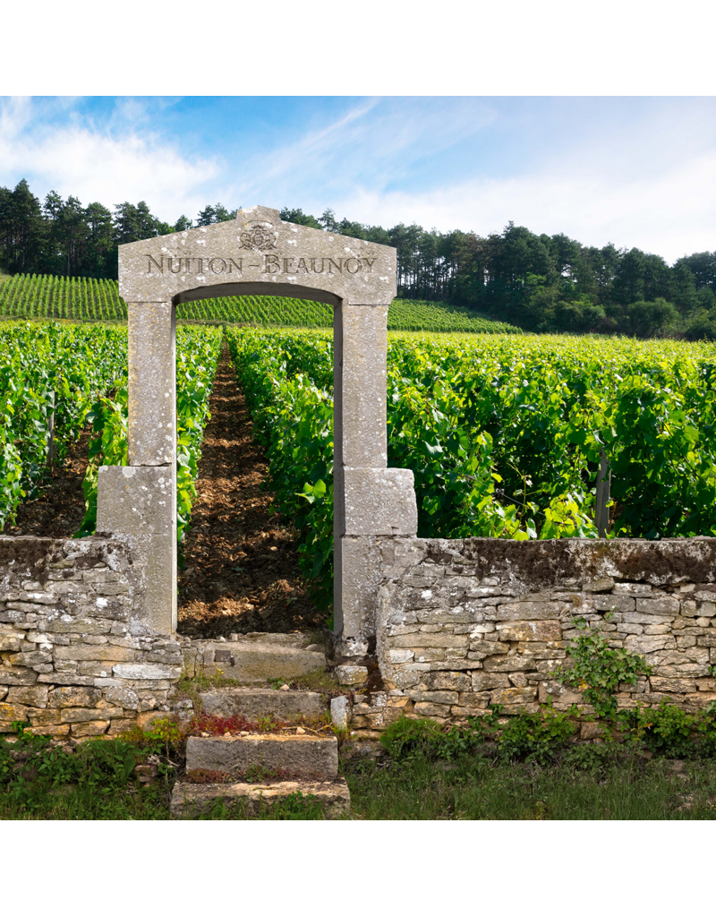 BOURGOGNE HAUTES COTES DE BEAUNE rood Nuitton Beaunoy 2022