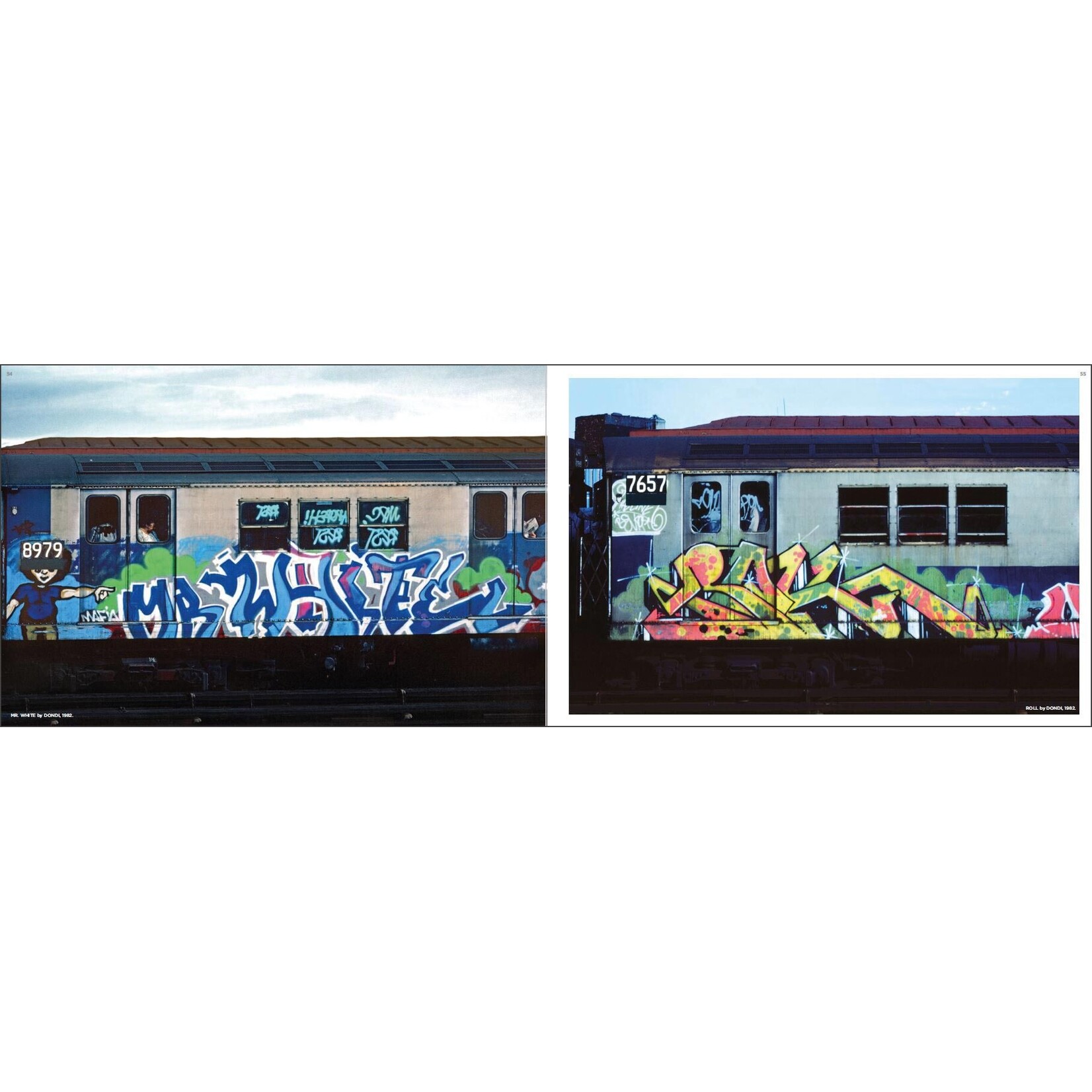 Spray Nation Buch - Martha Cooper