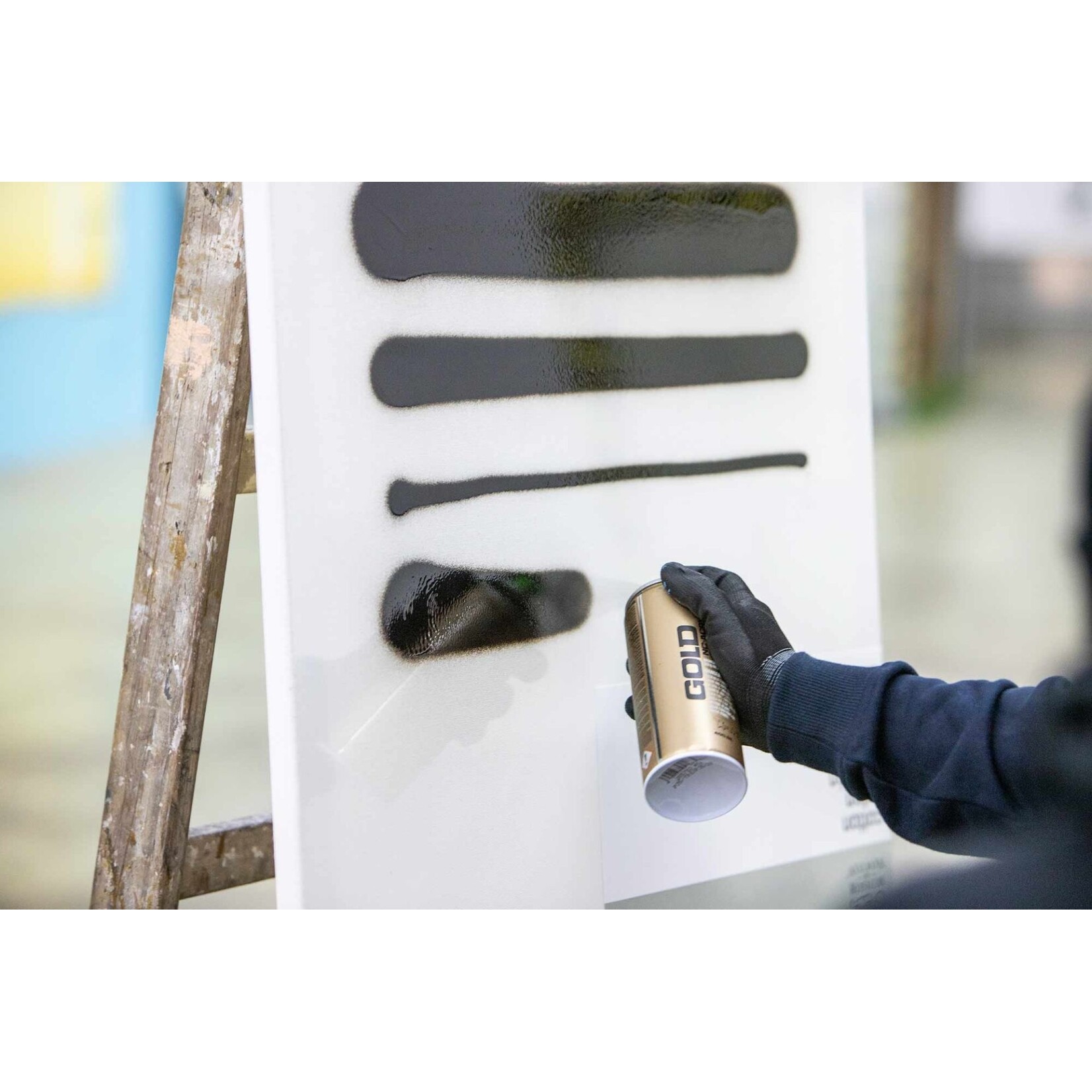 Montana CAP SET Level 1 - 6