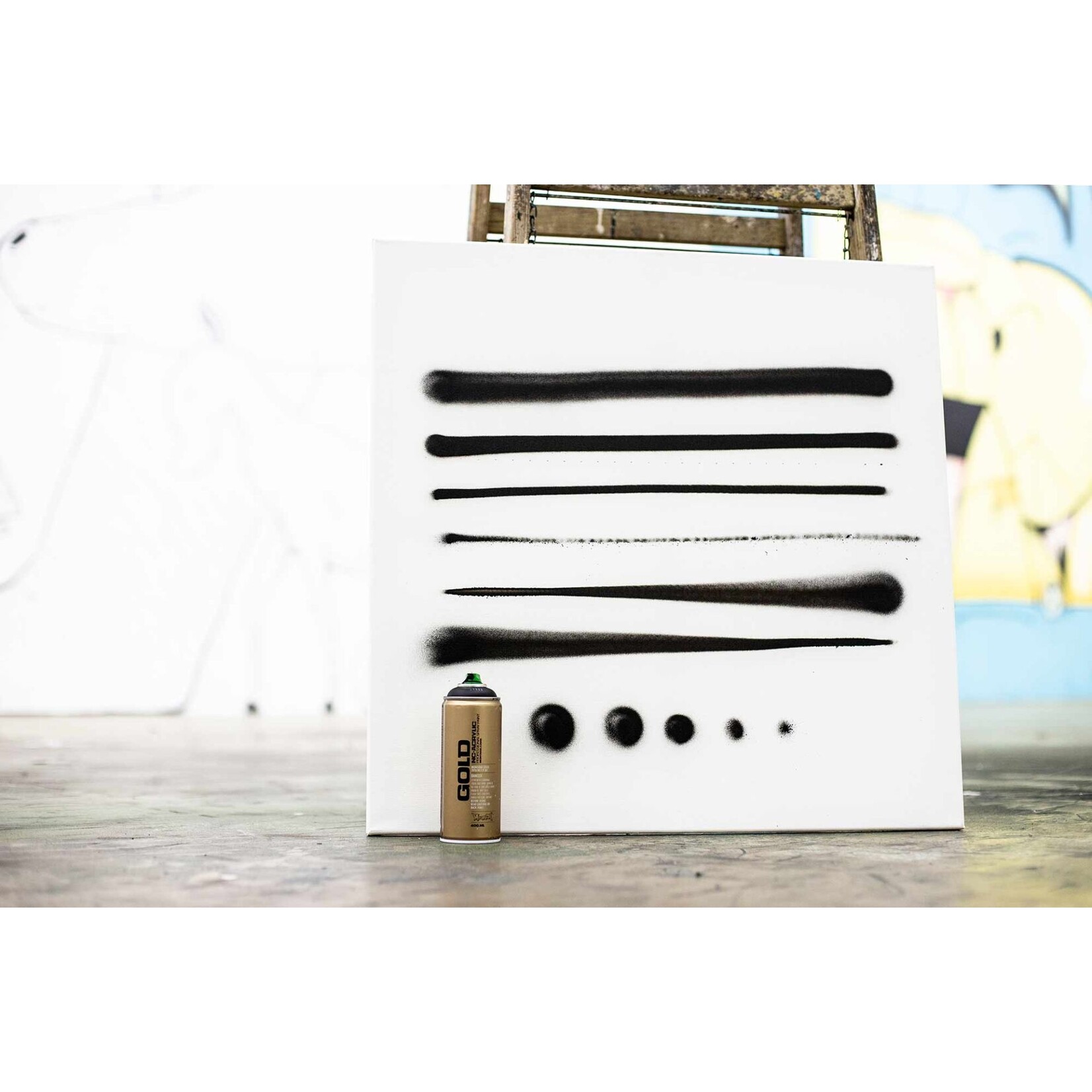 Montana CAP SET Level 1 - 6