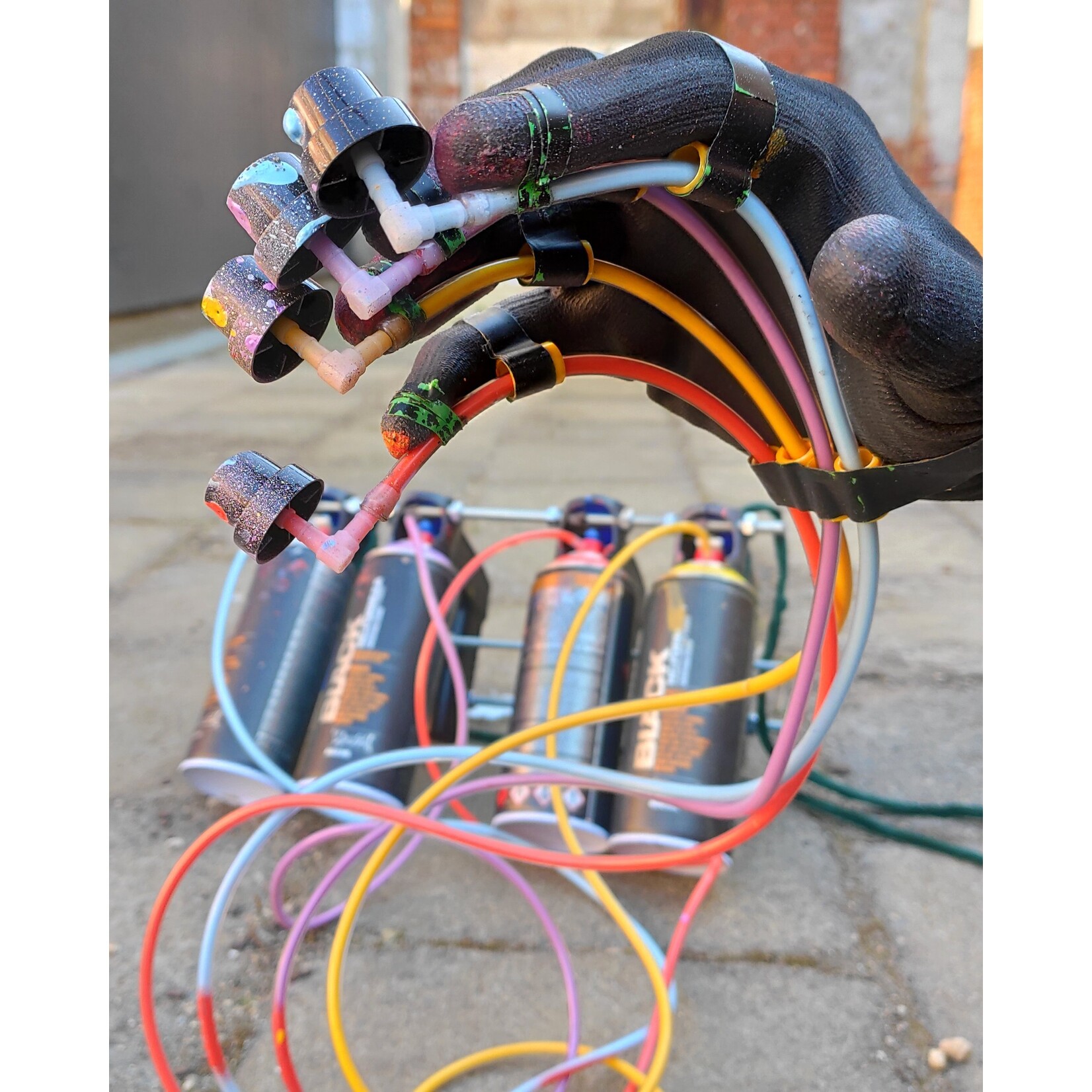 Montana BLACK Artist Edition #29 BOND TRULUV