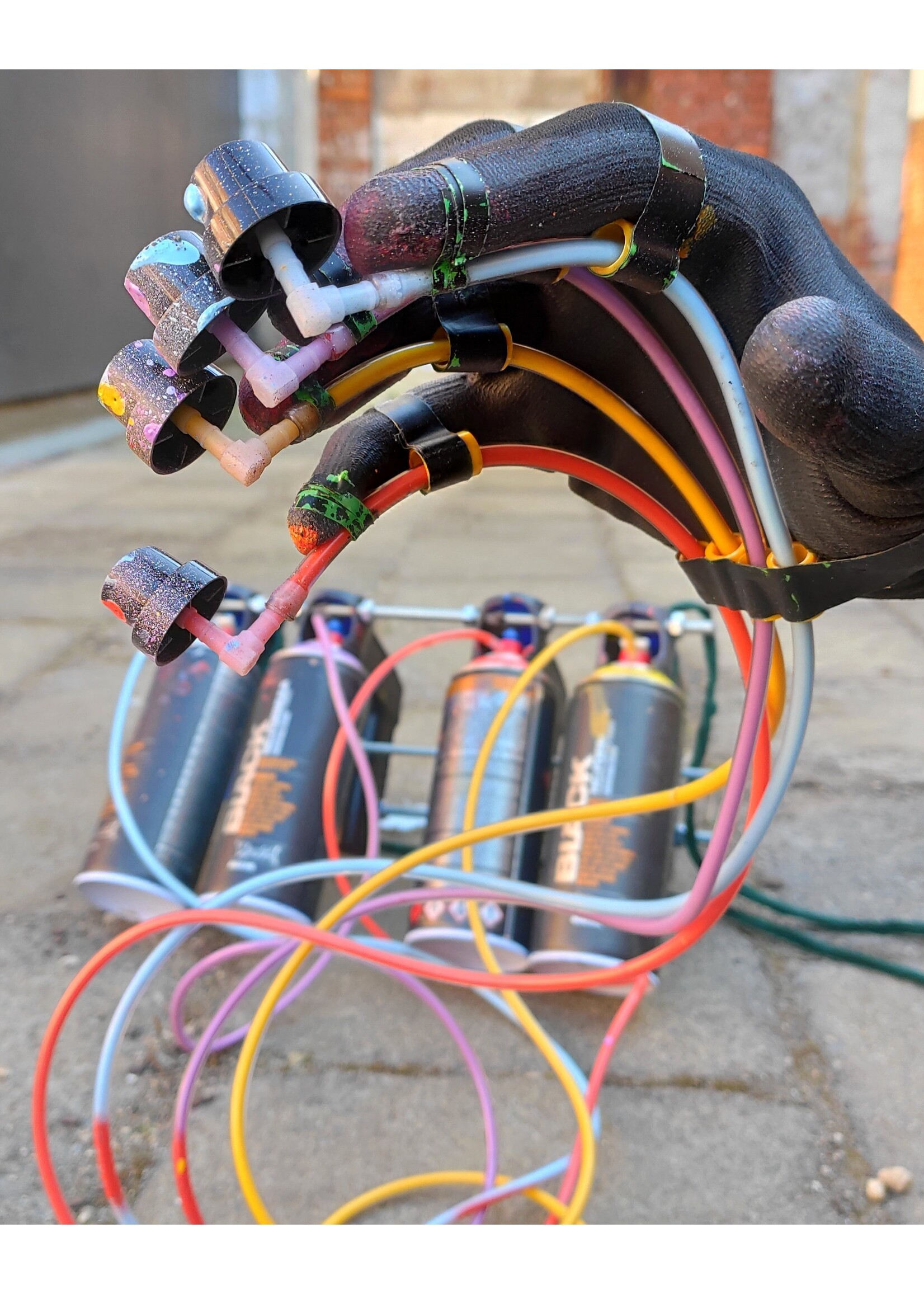 Montana BLACK Artist Edition #29 BOND TRULUV