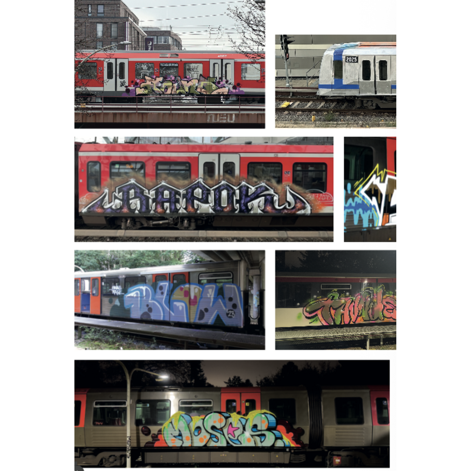 Daily Bombs Magazin #13 (Hamburg, 2025)
