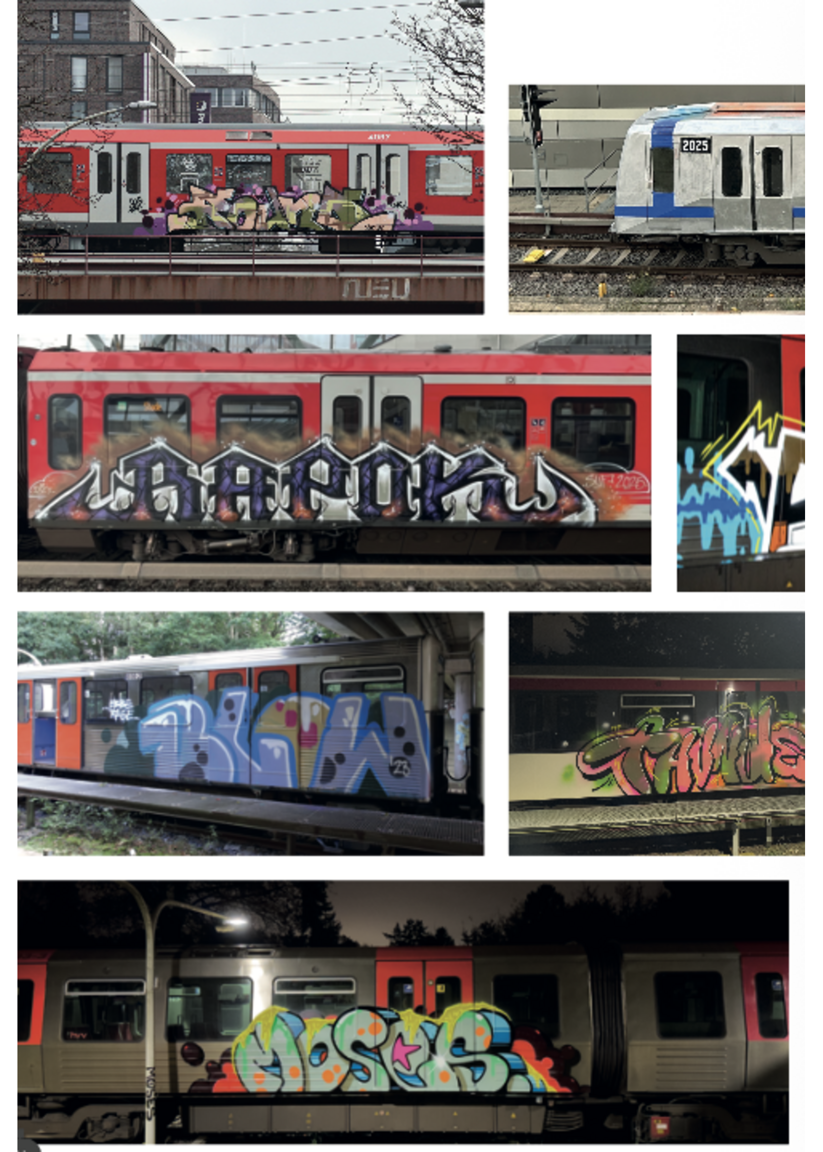 Daily Bombs Magazin #13 (Hamburg, 2025)