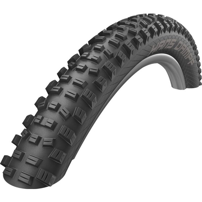 Schwalbe Vouwband Schwalbe Hans Dampf Performance 29 x 2.35" / 60-622 mm - zwart