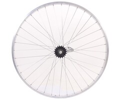 Roland Achterwiel Roland Werke 28"/622 x 24 - remnaaf Ventura - 36 gaats 13G - zilver