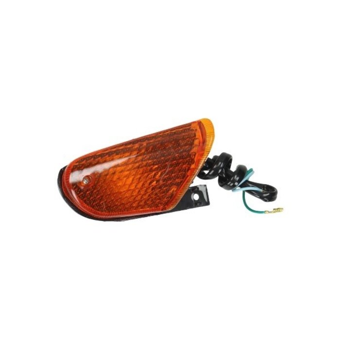 DMP knipperlicht vision met-in linksvoor DMP