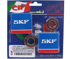 Krukaslager-keerringset Gilera GSM/Zulu Derbi GPR 6V 50cc