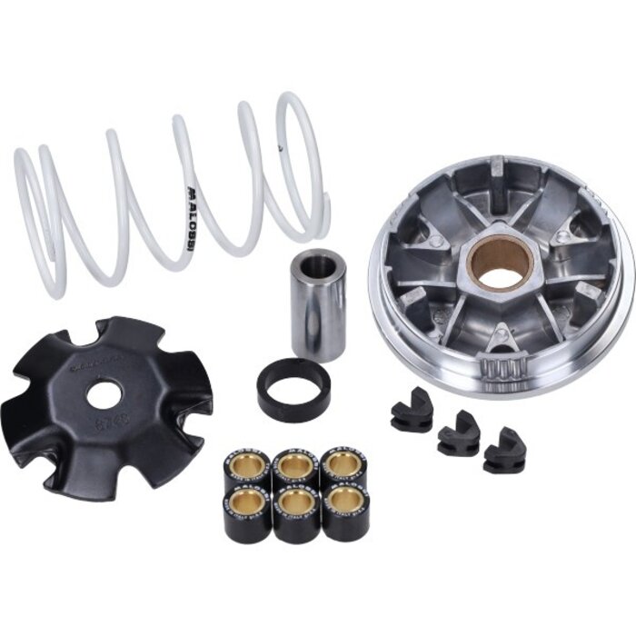 variokit malossi buxy, elyseo, elystar, jet force, looxor, ludix, speedfight, speedfight 3, viva, viva va2008 2t, zenith 518752