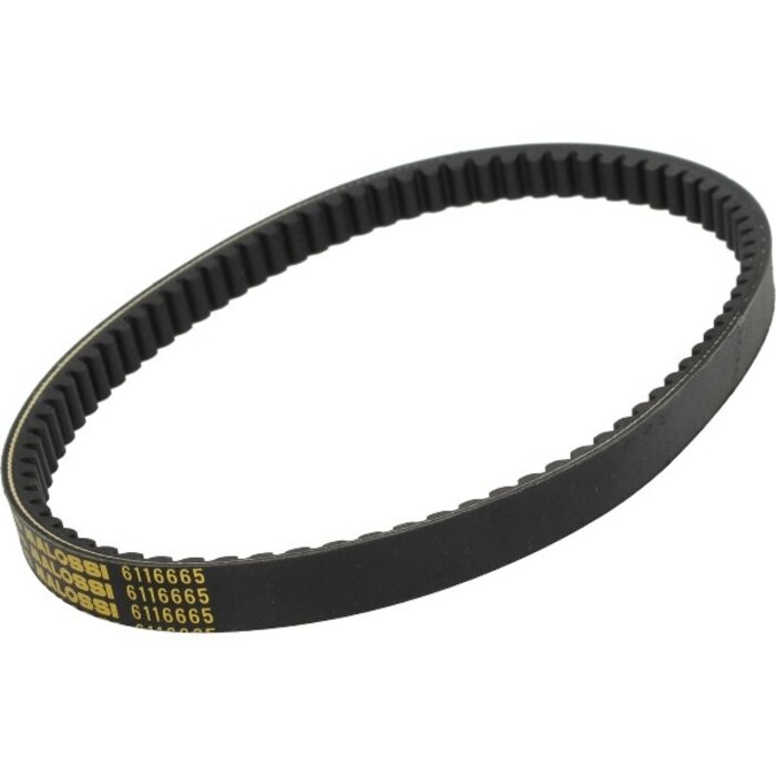 v-snaar malossi 795.5x20 agility 125, agility 150, new like, people-s, super-8 6116665