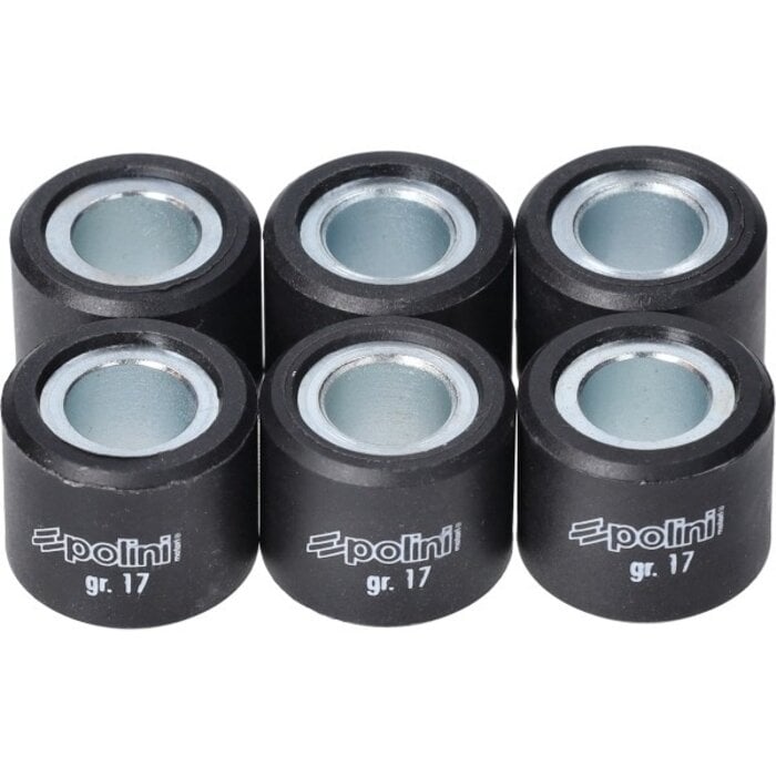 variorolset polini 17.0gr 20x17mm gts 300, mp3-300cc, runner 180cc, runner 200cc 242.356