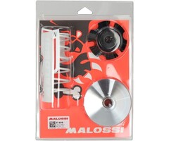 variokit malossi 19x15.5mm nrg, sco piaggio nt, zip, zip sp 519019