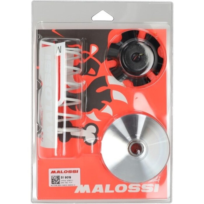 variokit malossi 19x15.5mm nrg, sco piaggio nt, zip, zip sp 519019