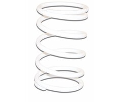 koppelingdrukveer malossi wit dink, honda, peugeot, piaggio, sco piaggio 4t-3v I-get 298360.w0