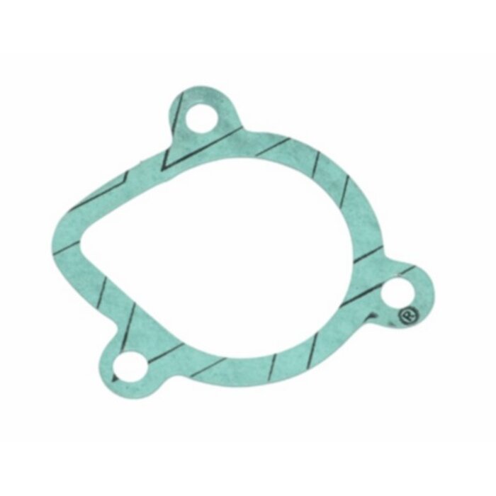 pakking DMP waterpomp ot derbi, senda