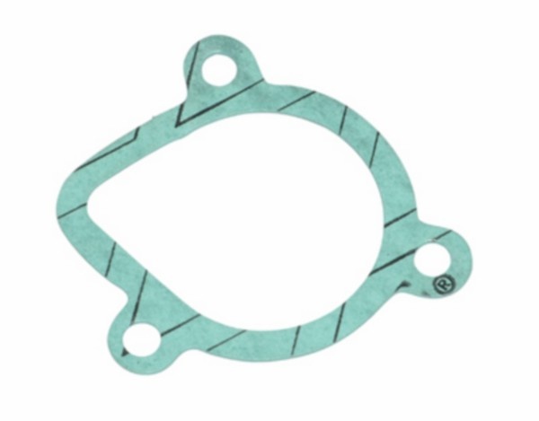 pakking DMP waterpomp ot derbi, senda