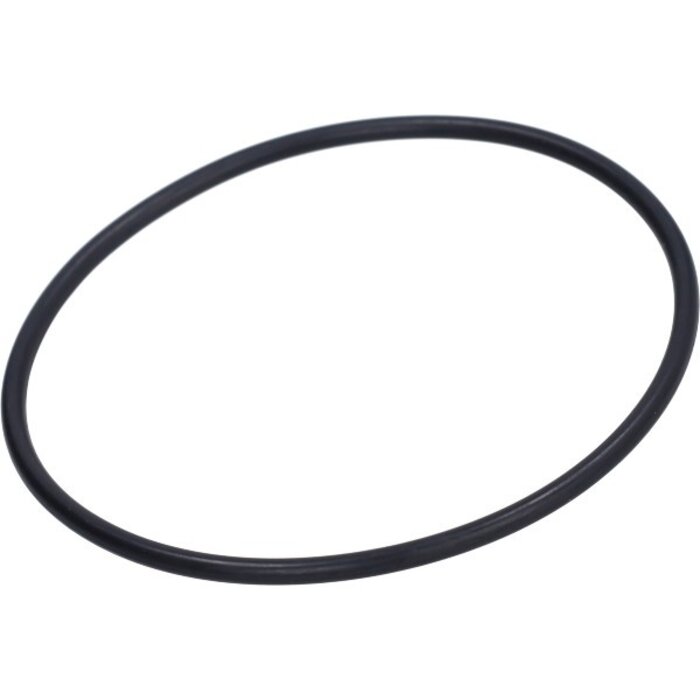 v-snaar polini waterpomp 103, bravo, camino, ciao, citta, px, si 255.4362