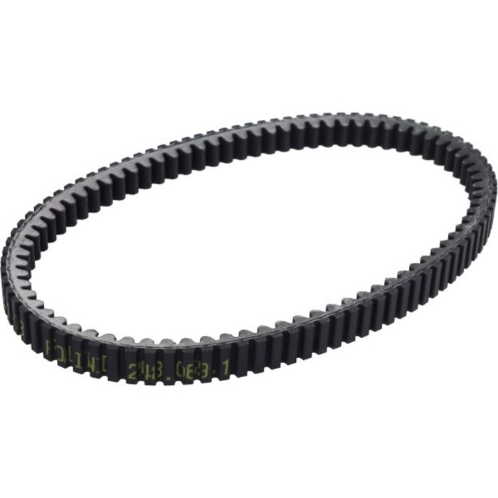 v-snaar polini kevlar EVO gts 300, gts 310, mp3-300cc, satalis250, x9 248.069.1