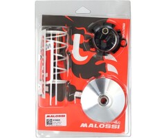 variokit malossi aerox/ giggle, neo 4t 5113603