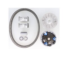 variokitset BGM v-snaar pro V2 gts 300, gts 300 HPE, gtv 300, mp3-250cc, mp3-300cc