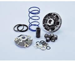 variokit polini (voor evo krukas) d16 hi speed 19x15.5mm minarelli hor 241.748