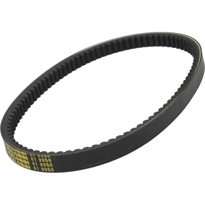 v-snaar malossi 888x22.2 burgman 200cc, burgman 250cc 619956