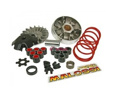 variokit malossi aluminium minarelli hor 5118678