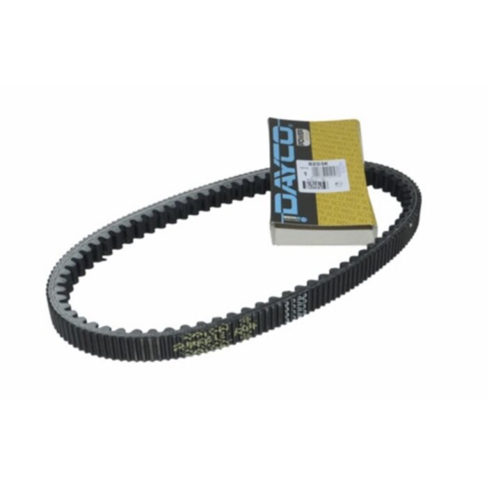 v-snaar dayco/pirelli kevlar 835x22.6 gts 250cc, gts super 300cc, mp3-250cc, mp3-300cc 8203k